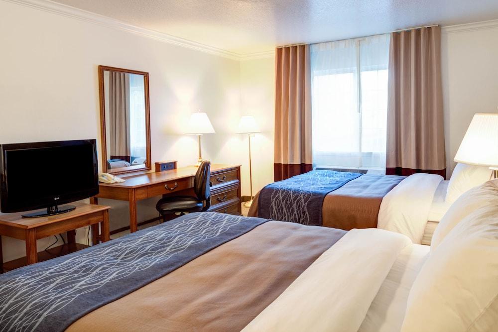Best Western Paradise Hotel Exterior foto